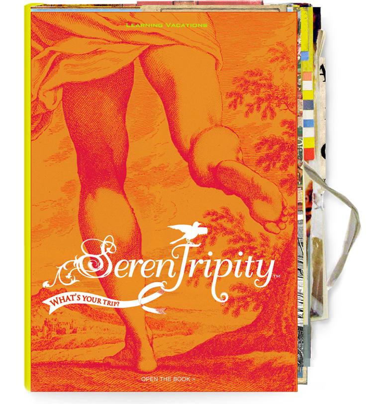 Serentripity book cover